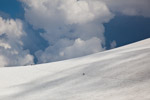 cevedale glacier alps italy