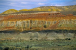 jaramillo petrified forest santa cruz patagonia