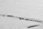 glacier sheep transhumance val senales